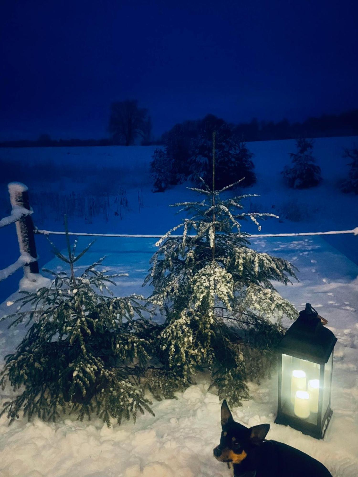 Vecvanagi Jaunmuiza Exteriör bild