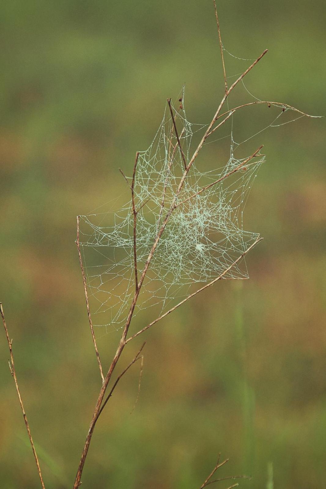 Vecvanagi Jaunmuiza Exteriör bild